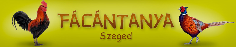 Facantanya fejlec
